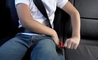 娱乐吃瓜酱女生安全带,揭秘明星出行安全新潮流